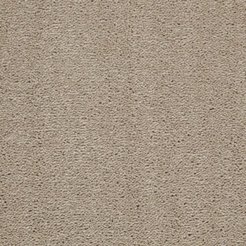 Amazing Hay Bale Polypropylene Plain Carpet
