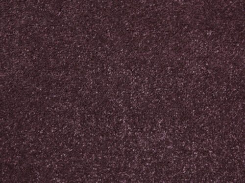 Amazing Plum Polypropylene Plain Carpet
